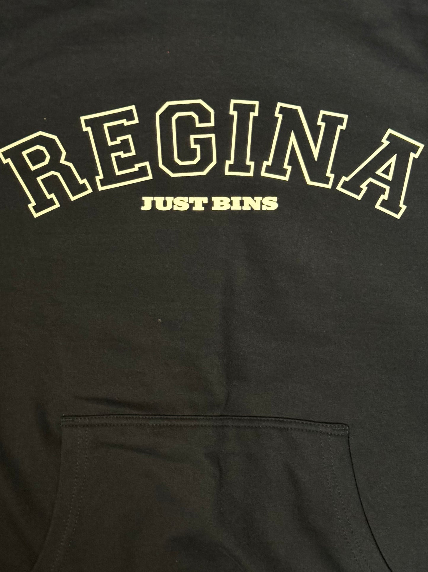 Regina's Banned Hoodie